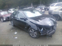 2015 Honda Accord 1HGCR2F38FA075291