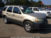 2007 Ford Escape 1FMYU92Z87KB43487