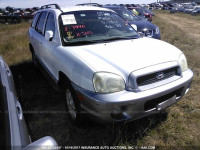 2003 Hyundai Santa Fe GLS/LX KM8SC13D13U534539