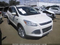 2013 Ford Escape 1FMCU0GXXDUD53490