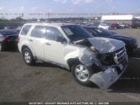 2010 Ford Escape 1FMCU0DG1AKA30411