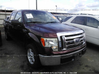 2010 Ford F150 1FTEW1C89AFC65509