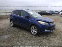 2013 Ford Escape 1FMCU0J99DUB28410