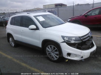 2013 Volkswagen Tiguan WVGBV3AX7DW612590