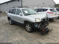 2003 Hyundai Santa Fe KM8SC73D33U433585