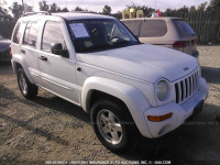 2002 Jeep Liberty 1J4GL58K12W231783