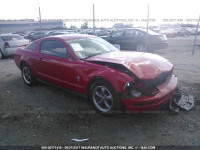 2006 Ford Mustang 1ZVFT80N165183171
