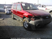 2007 Ford Escape 1FMCU92Z07KB25236