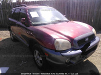 2004 HYUNDAI SANTA FE KM8SC73D64U633491