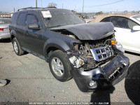 2010 Ford Escape 1FMCU0D70AKA80202