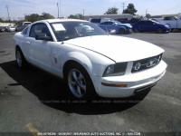2008 Ford Mustang 1ZVHT80N685125407