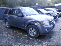 2008 Ford Escape 1FMCU59H58KA55191