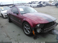 2006 Ford Mustang 1ZVHT82HX65168264