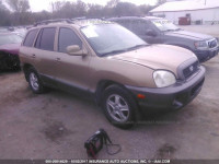 2004 Hyundai Santa Fe GLS/LX KM8SC73D94U685679