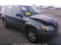 2005 Ford Escape 1FMYU02Z05KC80237