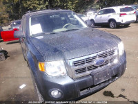 2008 Ford Escape 1FMCU03Z88KE11606