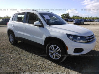 2016 VOLKSWAGEN TIGUAN S/SE/SEL/R-LINE WVGAV7AX5GW584893