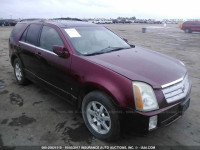 2006 Cadillac SRX 1GYEE637360147645