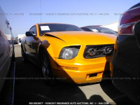 2007 Ford Mustang 1ZVFT80N875242881