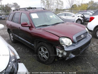 2004 Hyundai Santa Fe KM8SC13D24U607936