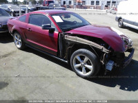 2008 FORD MUSTANG 1ZVHT80N985195533