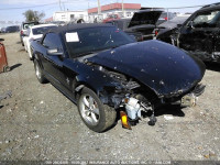 2008 Ford Mustang 1ZVHT84N685111422