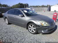 2005 Nissan Maxima SE/SL 1N4BA41E05C868051