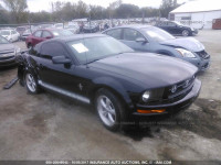 2007 Ford Mustang 1ZVFT80N375230010