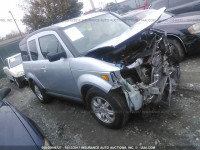 2007 Honda Element EX 5J6YH287X7L012605