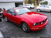 2005 Ford Mustang 1ZVFT84N055194493