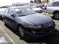 2006 Acura TSX JH4CL96816C023007
