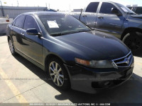 2006 Acura TSX JH4CL96916C030242
