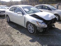 2013 Nissan Maxima 1N4AA5AP2DC841208