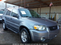 2007 Ford Escape 1FMCU031X7KB77994