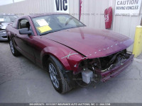2006 FORD MUSTANG 1ZVFT80N665102794
