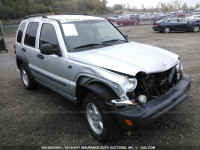 2006 Jeep Liberty 1J4GL48K76W233764