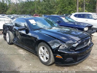 2014 Ford Mustang 1ZVBP8AM9E5300244