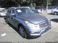 2016 Infiniti Qx50 JN1BJ0RR1GM262199