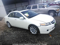 2007 Acura TSX JH4CL96967C004902