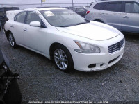 2010 Nissan Maxima 1N4AA5AP3AC827006