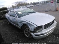 2005 Ford Mustang 1ZVFT80N655159060