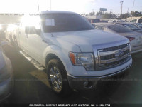2013 Ford F150 1FTEW1CM7DKD94261