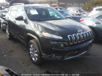 2014 Jeep Cherokee 1C4PJMDS8EW133995