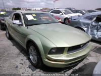 2006 Ford Mustang 1ZVFT80N565175140
