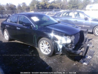 2009 Nissan Maxima S/SV 1N4AA51E59C811075