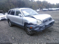 2004 Hyundai Santa Fe KM8SB12B94U665769