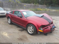 2007 Ford Mustang 1ZVFT80N575233295