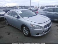 2010 Nissan Maxima 1N4AA5AP6AC837724