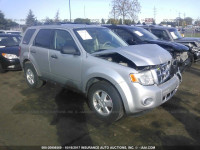 2010 Ford Escape 1FMCU9C79AKD12754