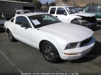 2005 Ford Mustang 1ZVFT80N355176351